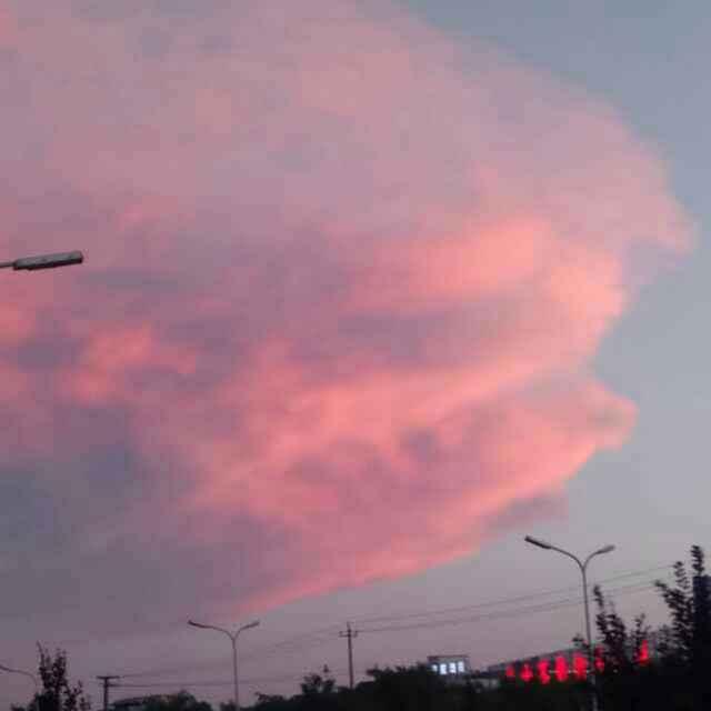 嘚儿驾 i