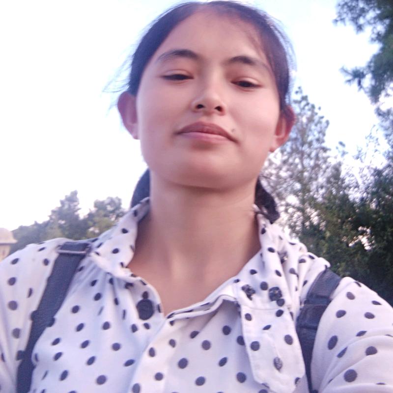 每天爱你