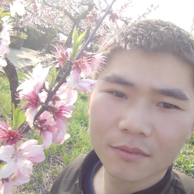 中国龙