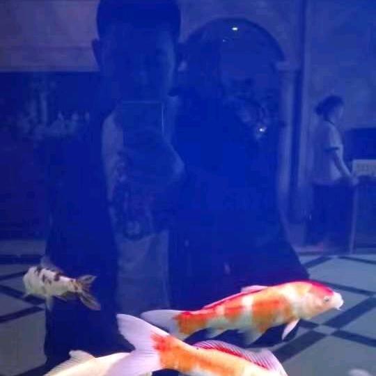 什么都不懂？