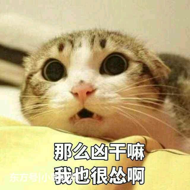 不辞啊