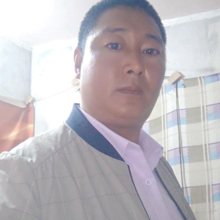 宁波荣耀苗木直销