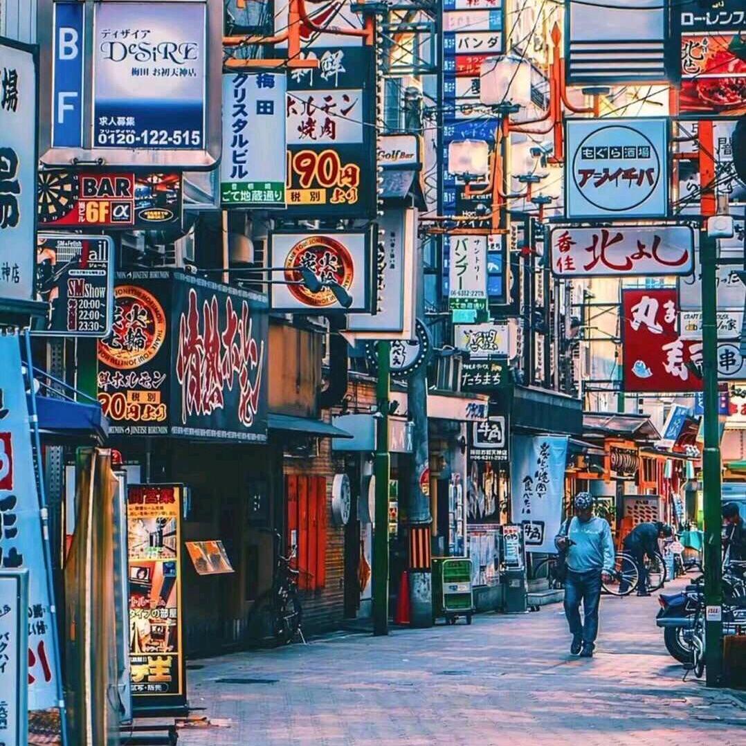 ✨陈住气✨