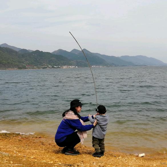🌻玮玮道来🌻
