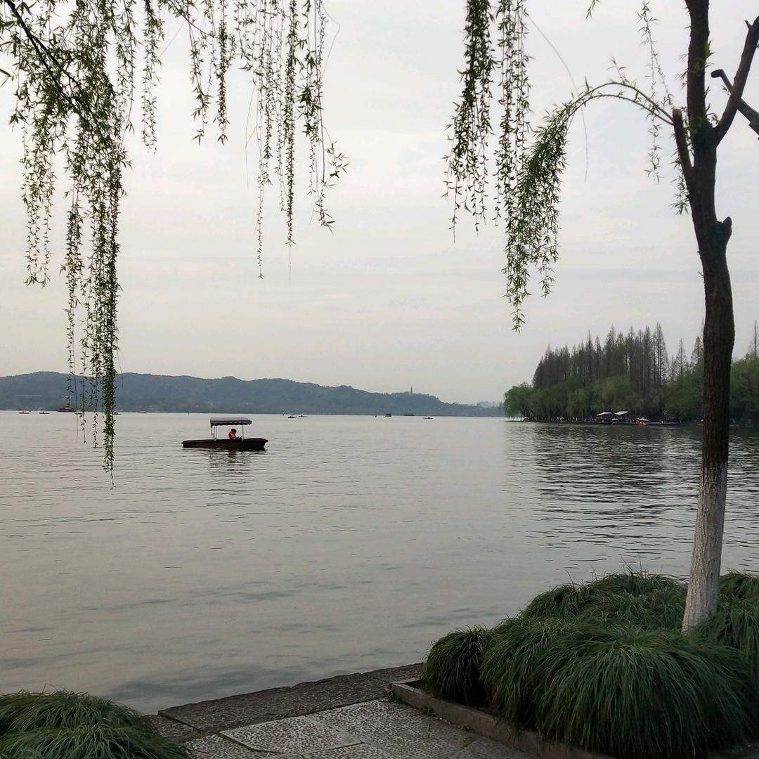 万般皆苦，唯有自渡