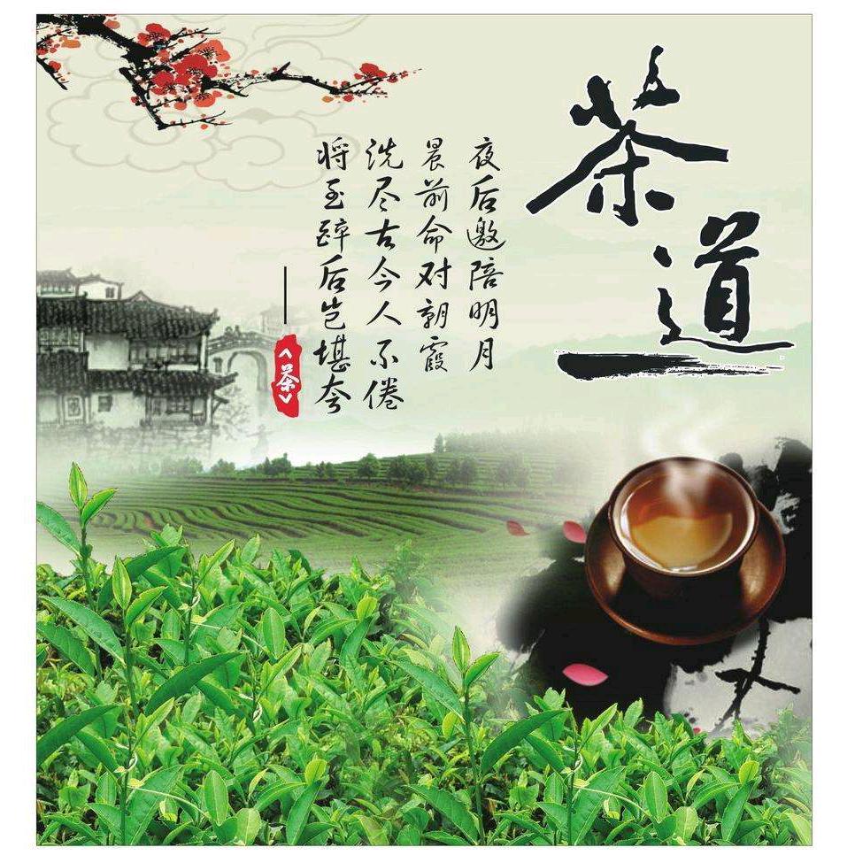 站长（绿茶）赣榆