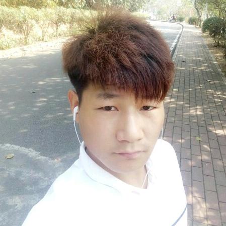 会飞的鱼