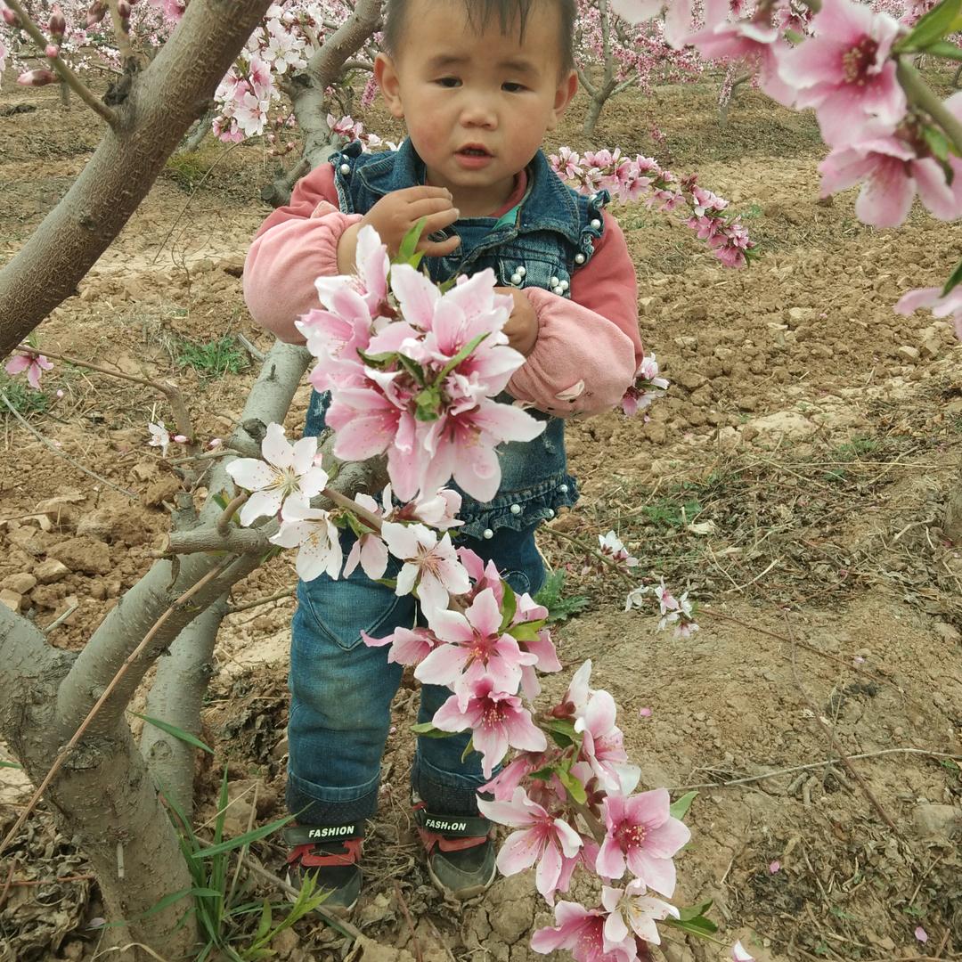 张若男爷爷