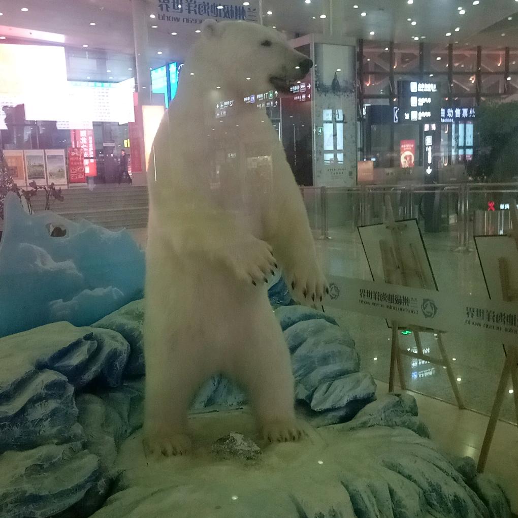 风中飘逸的花絮