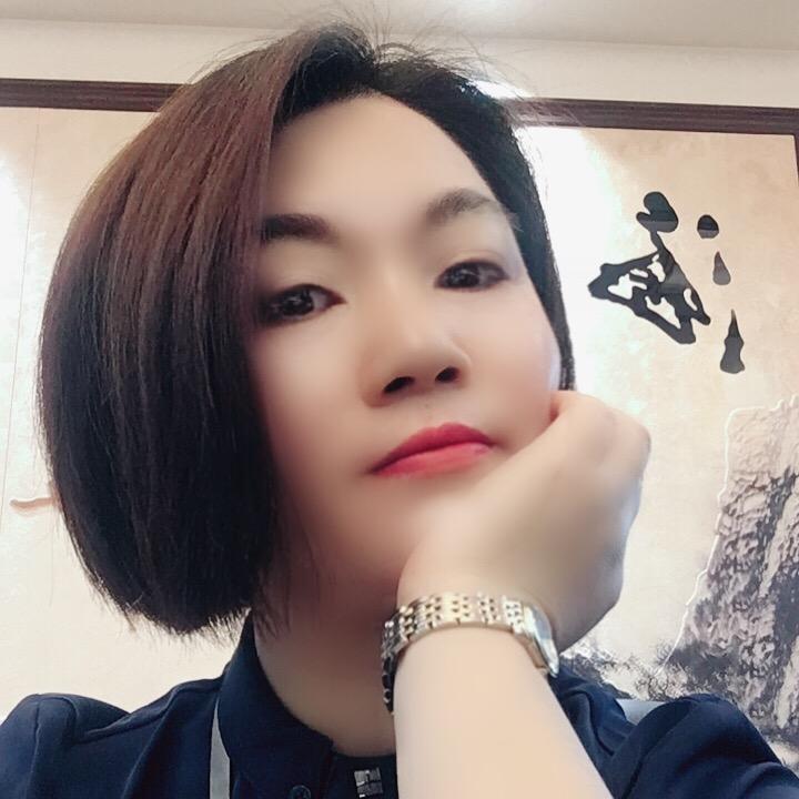 看海2024