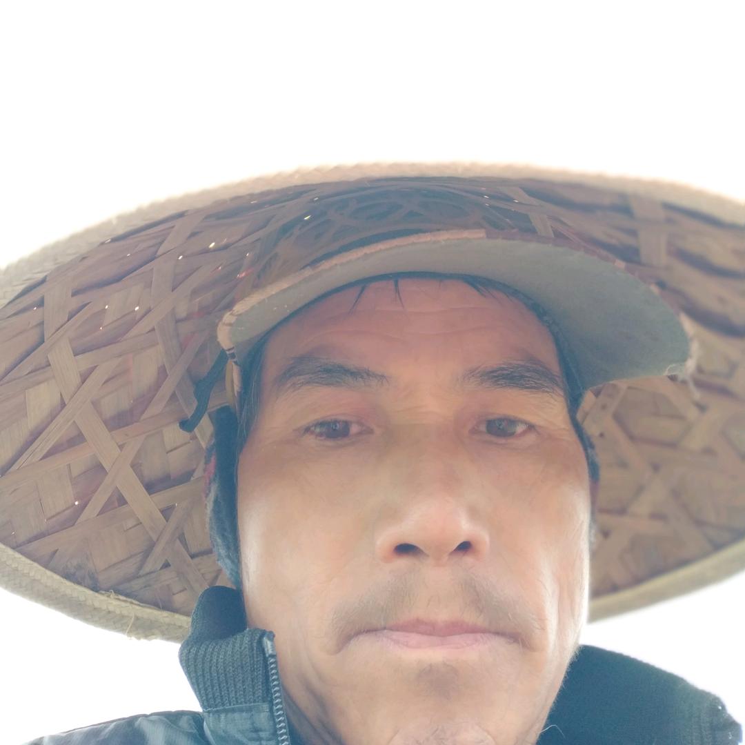 水发