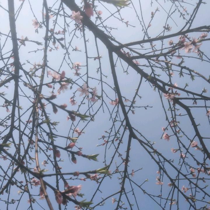 干中学！边干边学