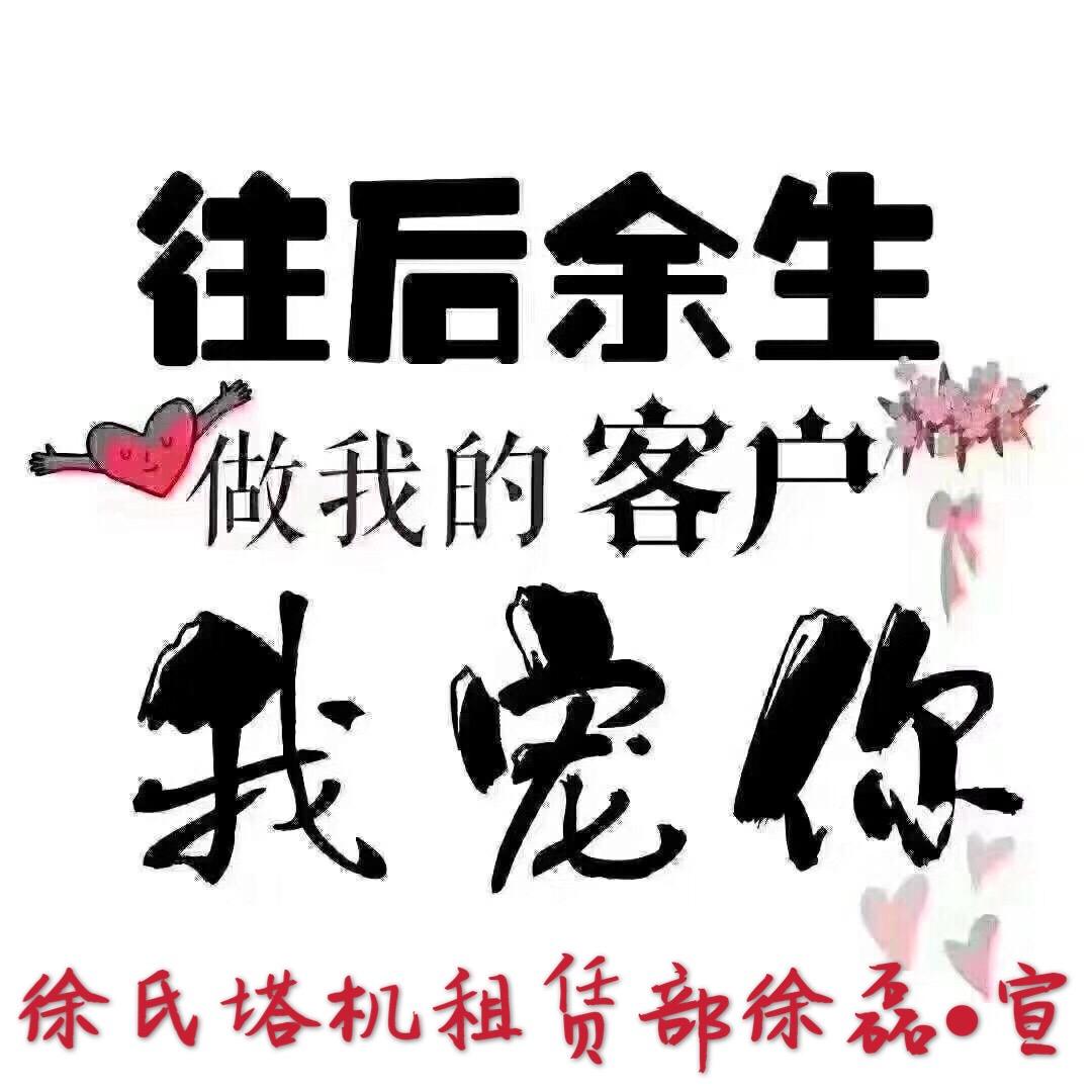 徐氏塔机租赁部