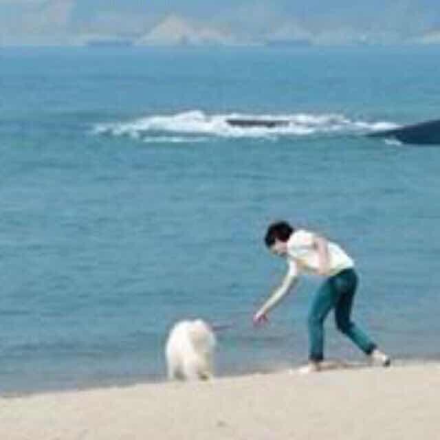 风圣