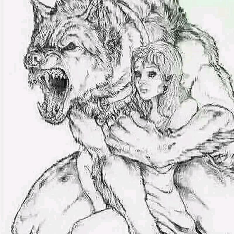 放手一博