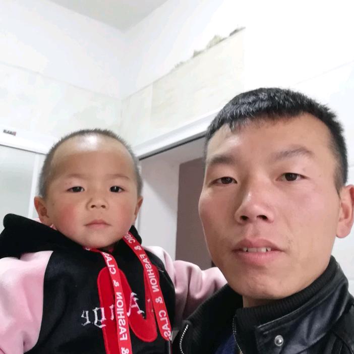 贵州关岭蜂糖李基地