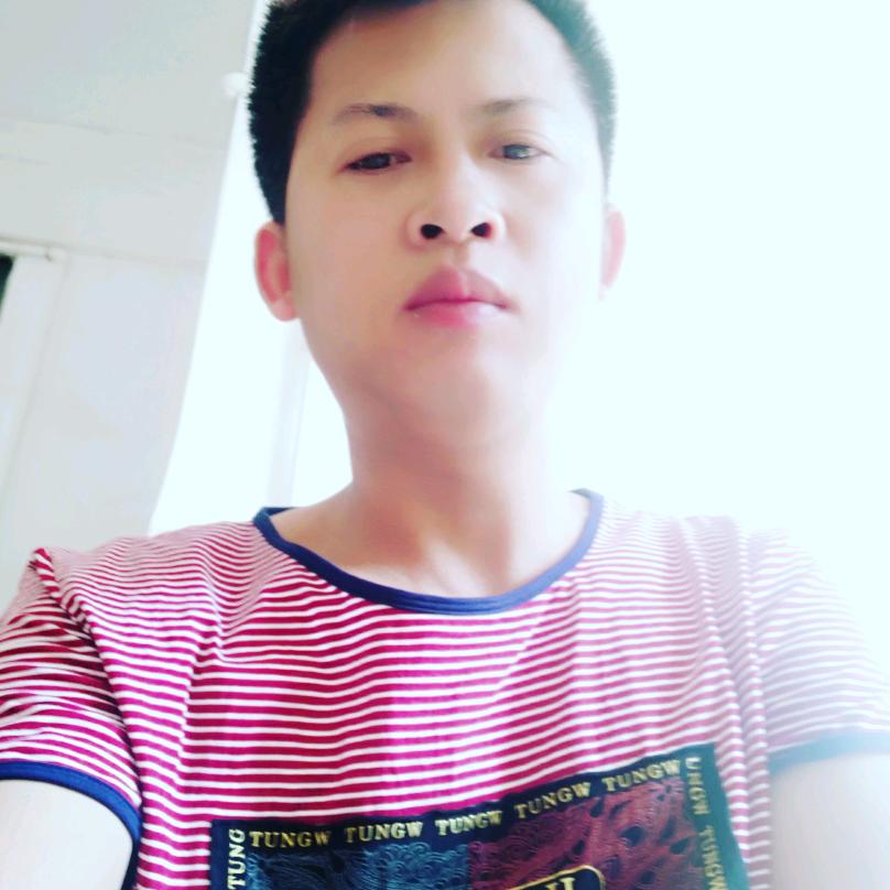 科二科三模拟教练