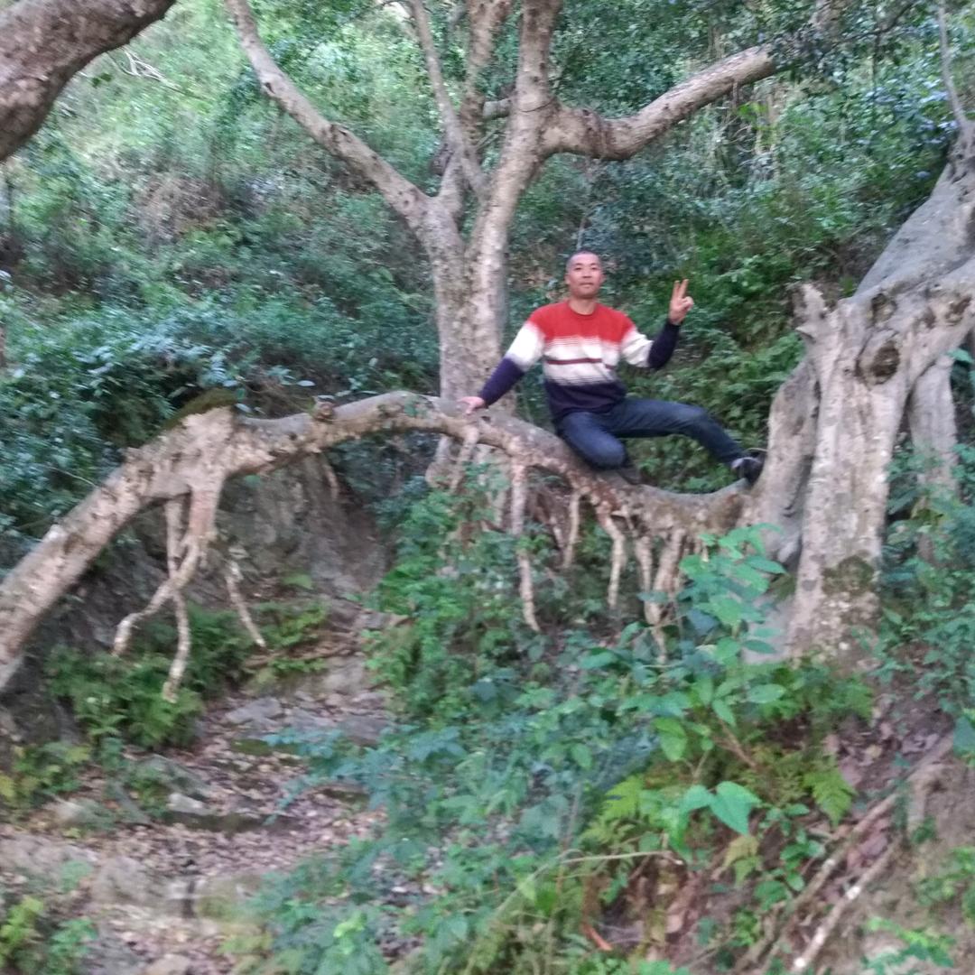 龙泉山庄