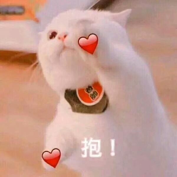 🍊艾栀