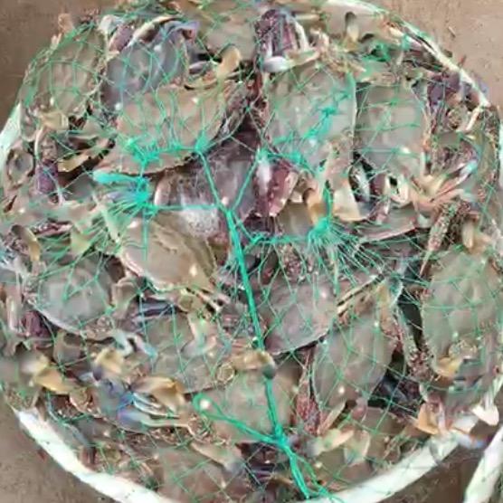 海鲜批发代理～格优的爸爸