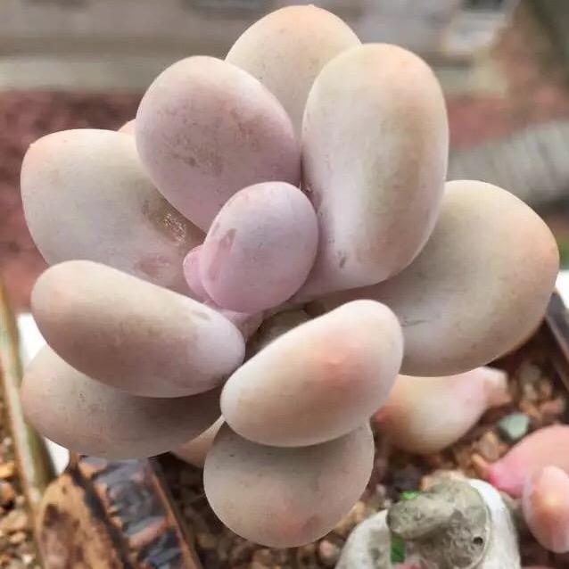 岁月动好
