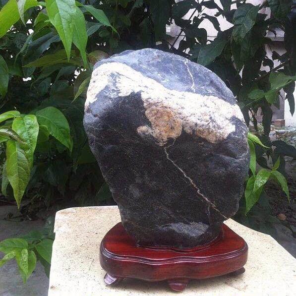 風缘