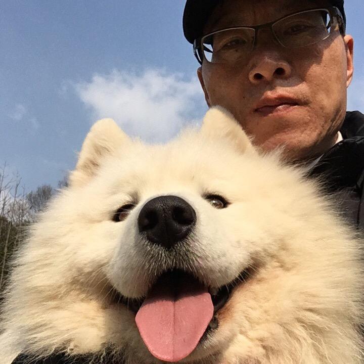 单文