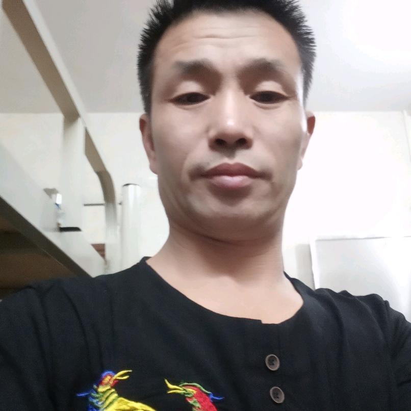 书生