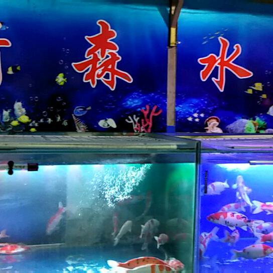 清森水族
