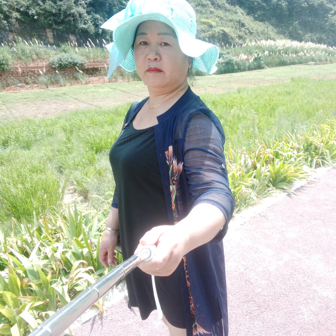 杜姨妈