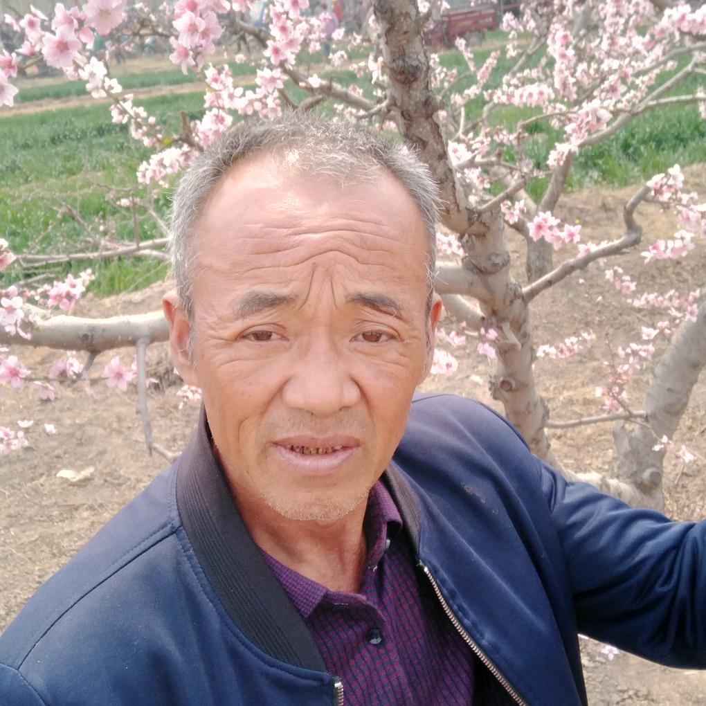 鲍志元