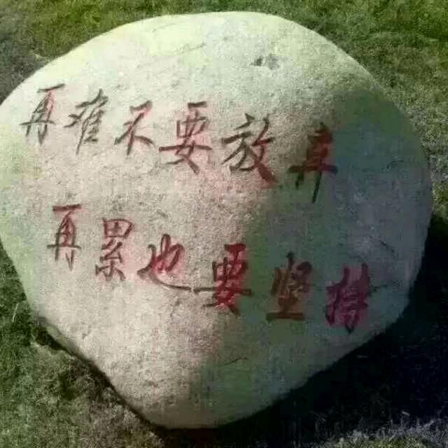 感动常在