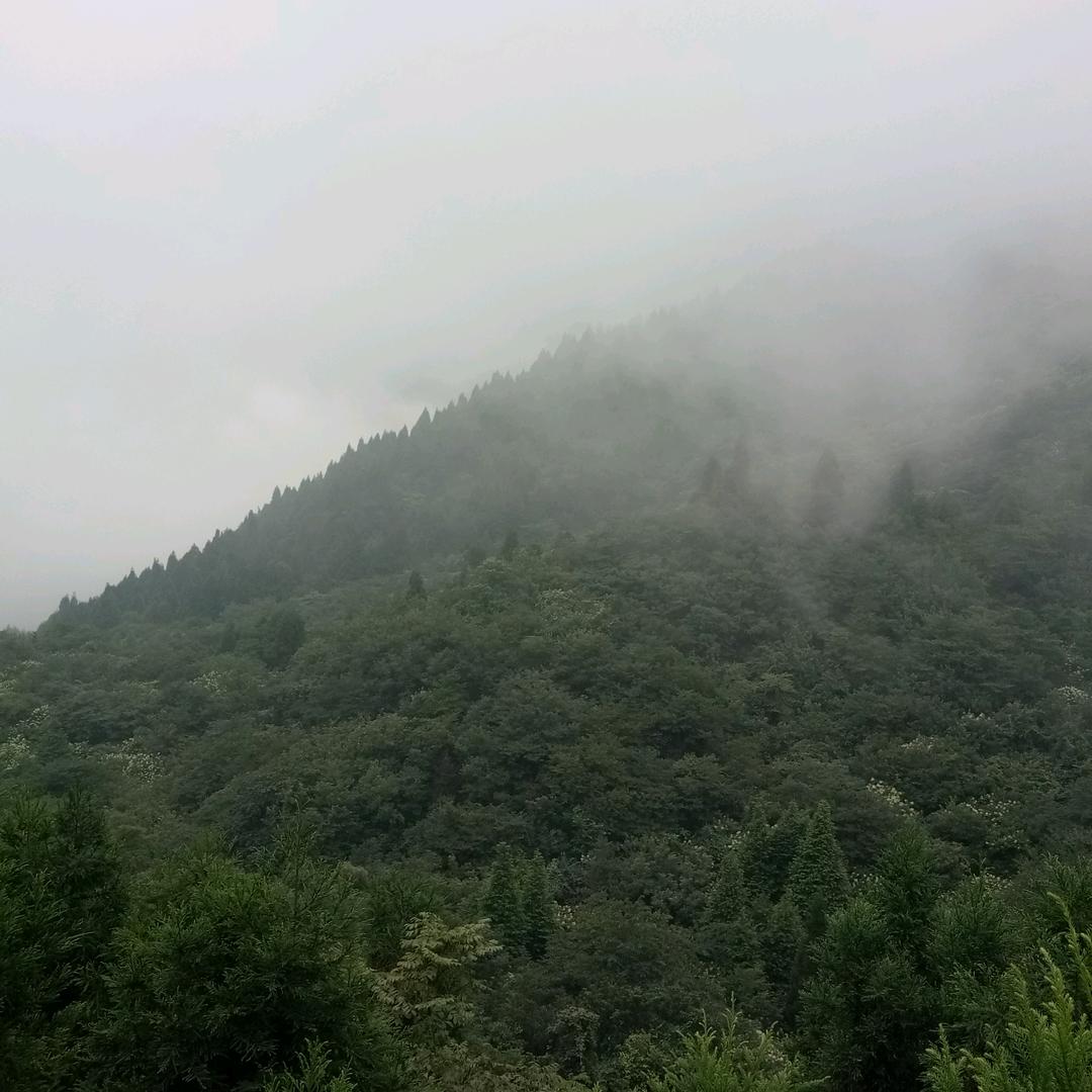 酒肉穿肠过