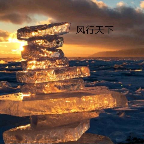 风行天下