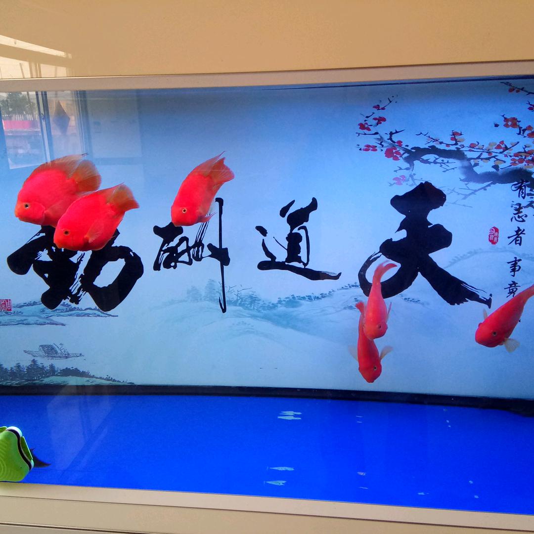 我爱我家