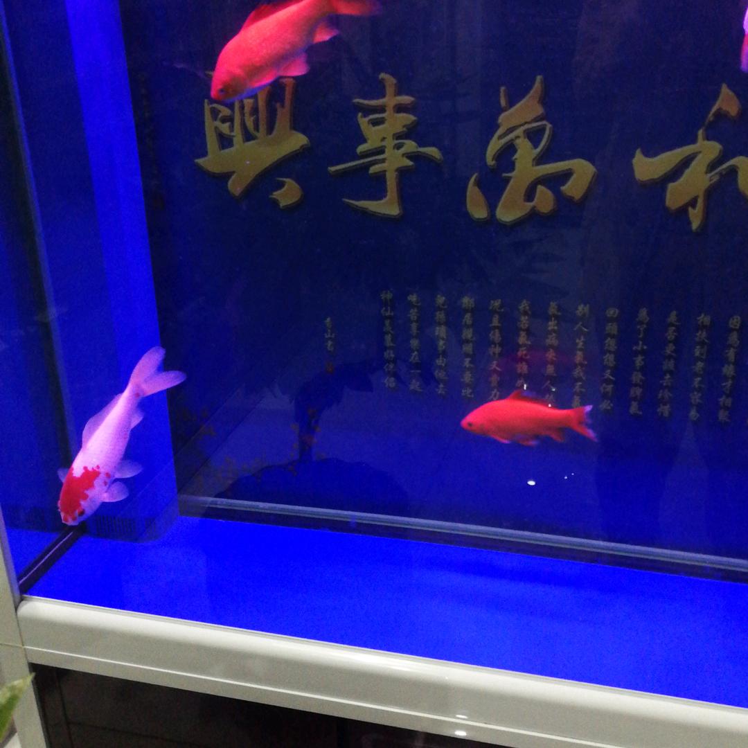 好嗨哟