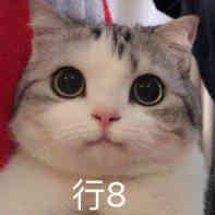 小学森