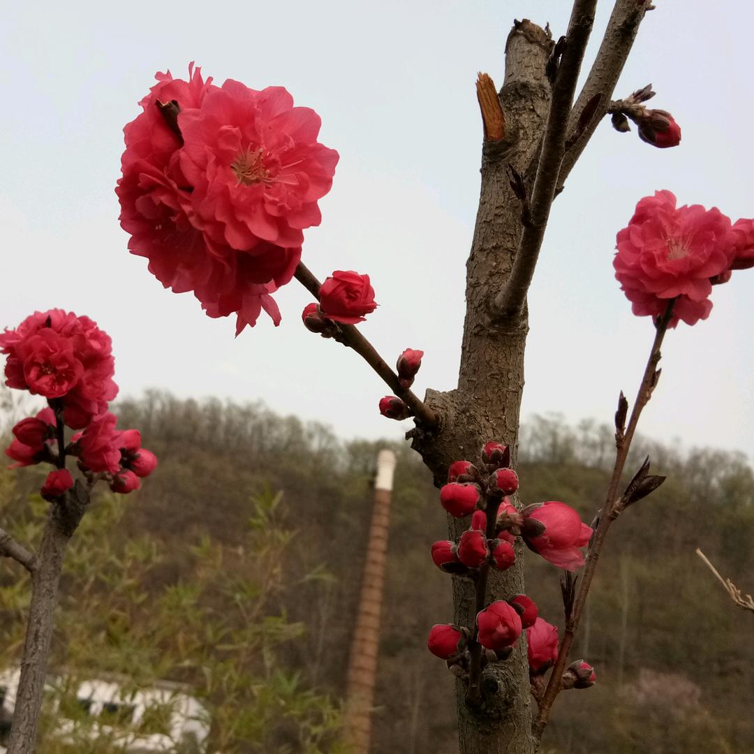 越来越好