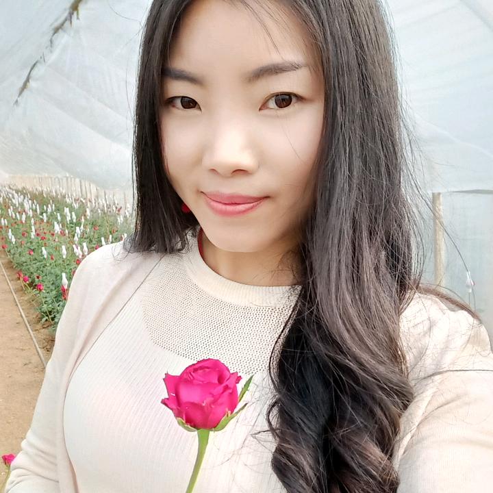 丹丹妹