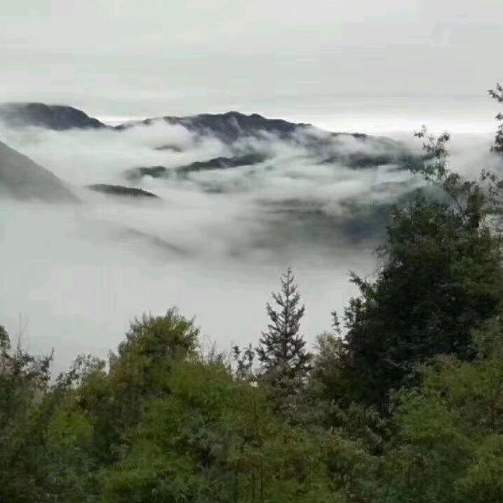 再度重相逢
