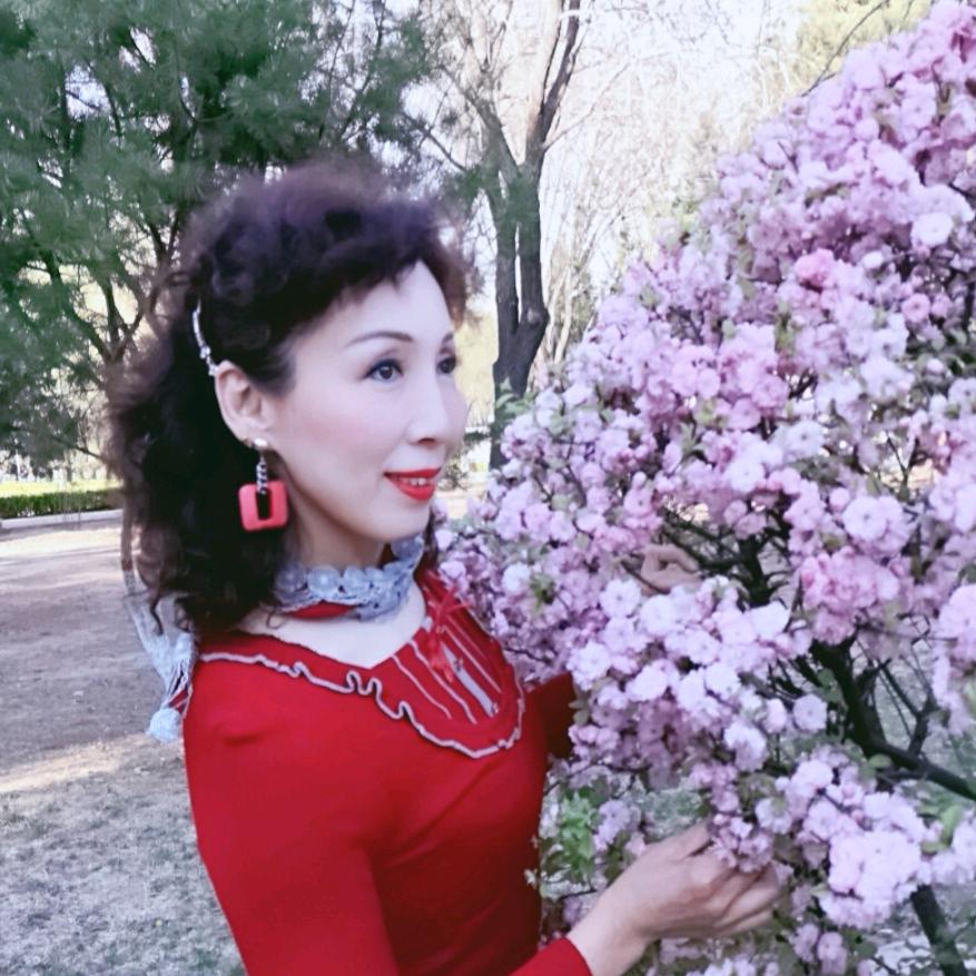 快乐燕子