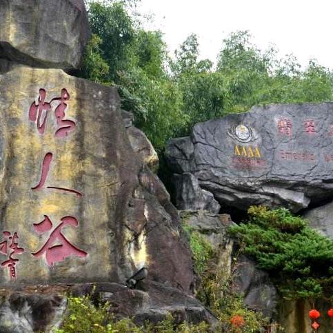 自由如风