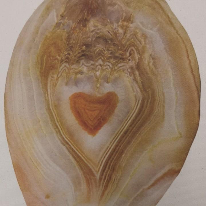 扬柳清风诗情画意