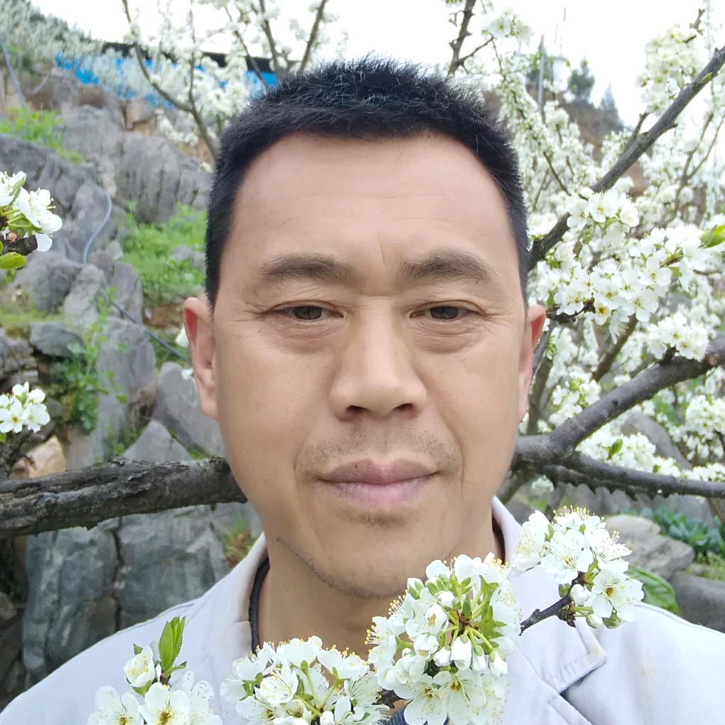 朱锡坤空心李种植