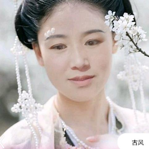 凤凰花九月菊