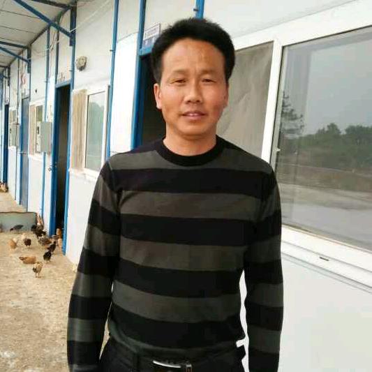 卖土鸡的毛军民