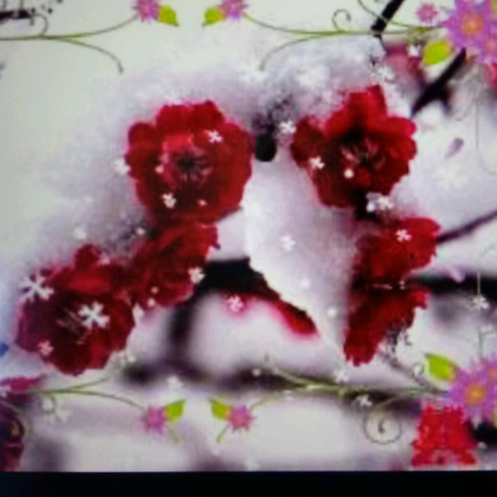 雪花