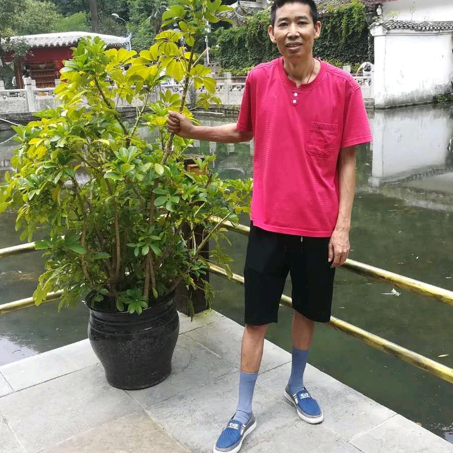 忘悼烦恼