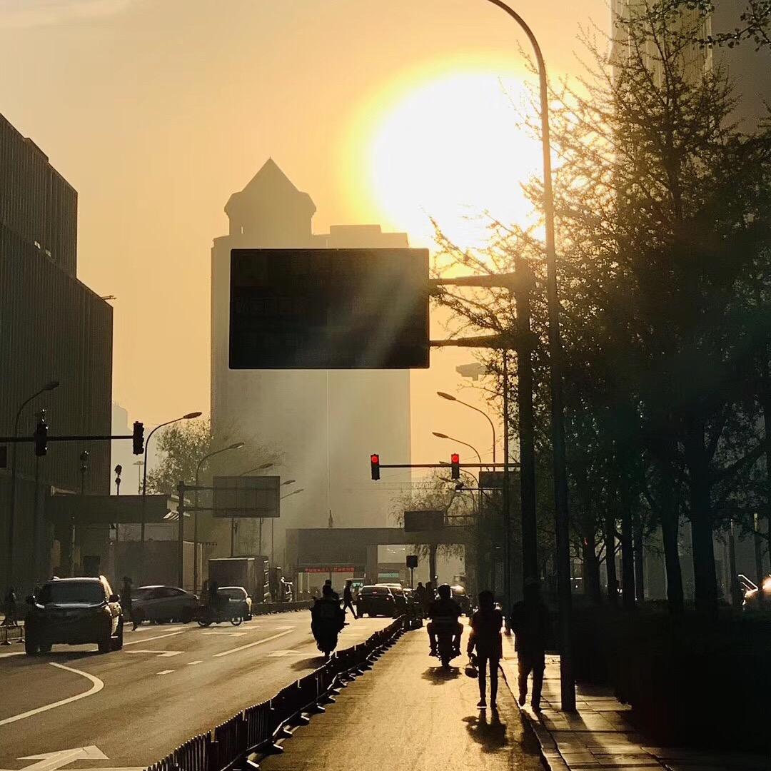 宠遇(永红路店)官方号