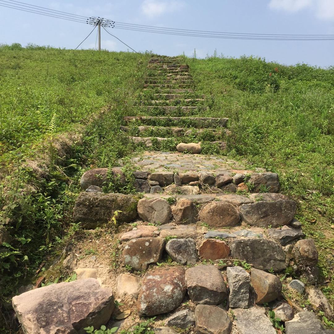 蝶之恋～忘忧草